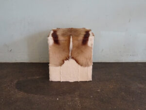 Hocker